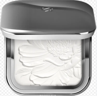 INVISIBLE TOUCHFACE PERFECTING POWDER